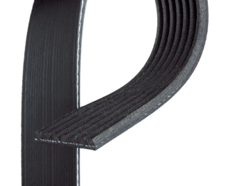 Courroie accessoire Suziki 1.9 ddis réf:7pk1988